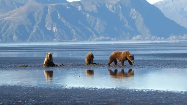 Alaska with the Family: On the Road to the Wilderness