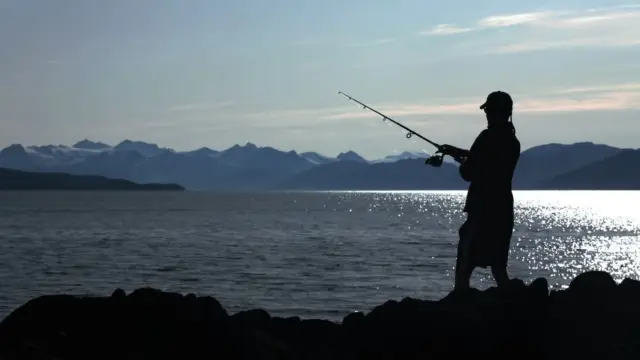 <b>Fishing in Alaska</b>: Salmon, Halibut, Spots, and the Season