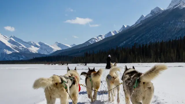 Alaska with the Family: 10 Nature Experiences to Enjoy with Your Kids