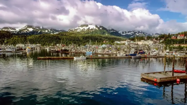 <b>Cordova: </b>The Copper River <b>Delta </b>and Birds in Alaska