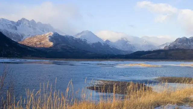 Kodiak Island: Home to the World’s Largest Brown Bears in Alaska