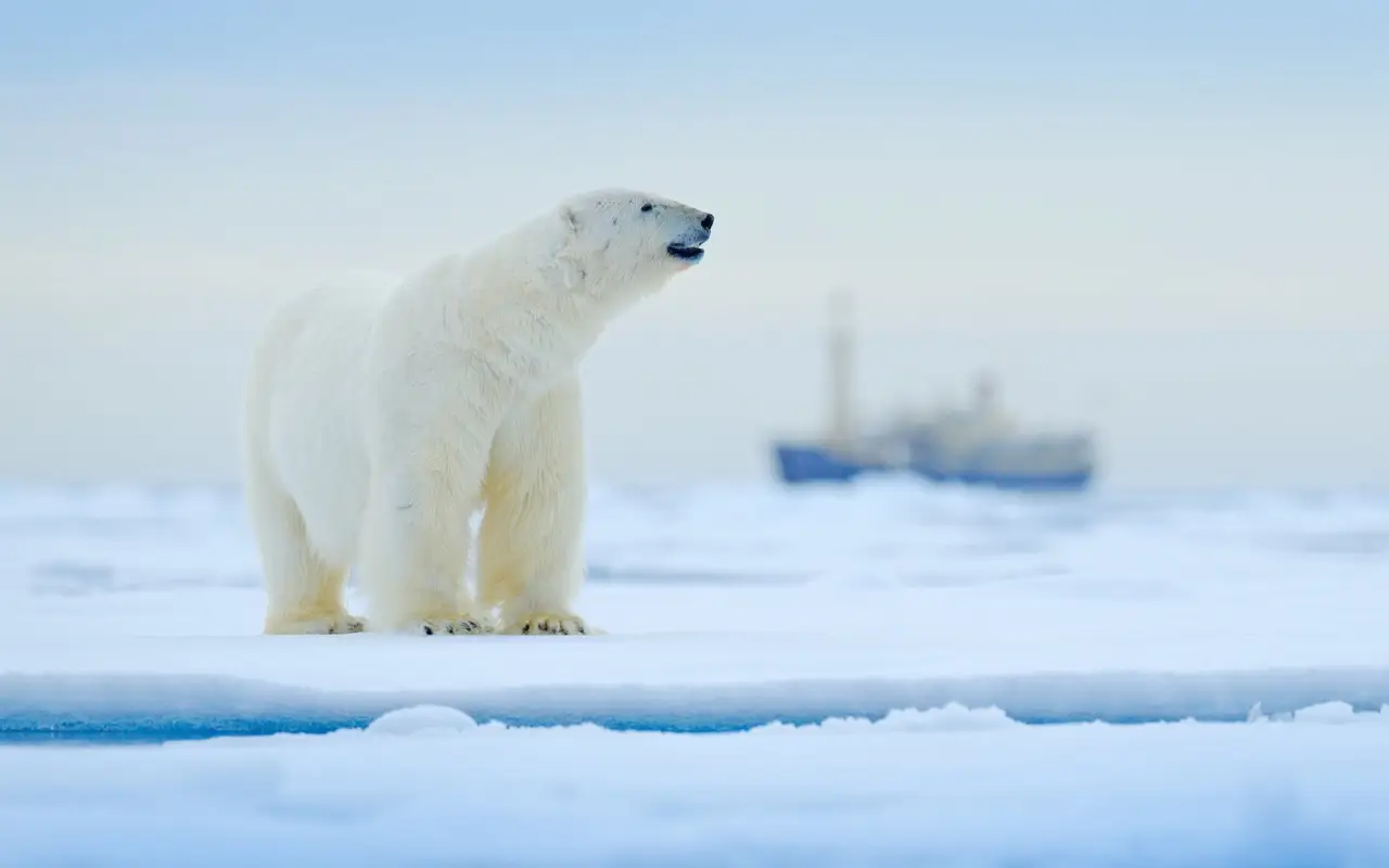gates of arctic alaska (5)