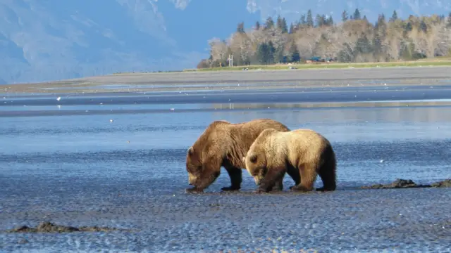 <b>When is</b> the best time to travel to Alaska?