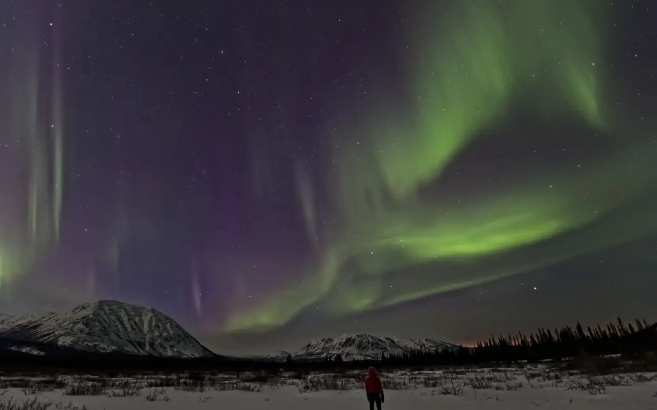 Aurore boréale - Annie lake area, Yukon 