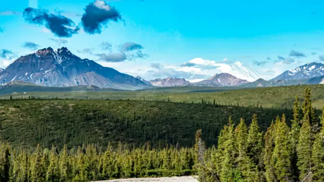Talkeetna: Scenic Flights Over Mount Denali