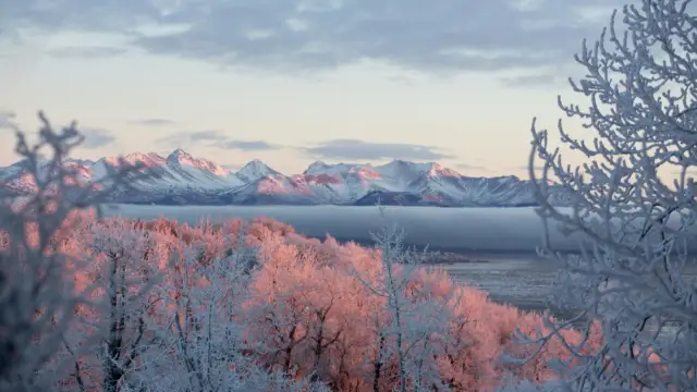 Alaska anchorage (3)