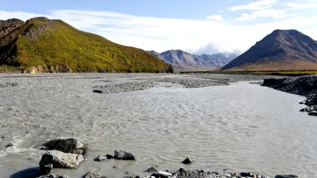 Alaska denali (4)