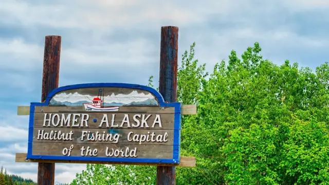 Alaska homer kachemak (5)