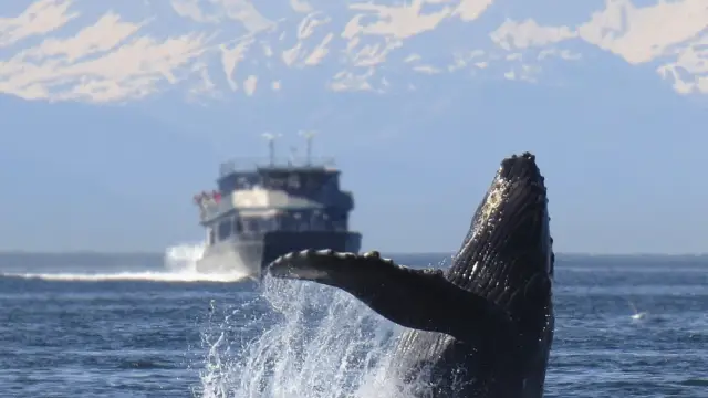 Alaska inside passage (2)