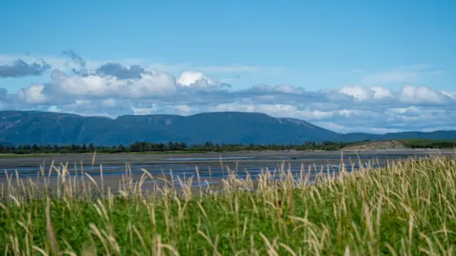 Alaska katmai (5)