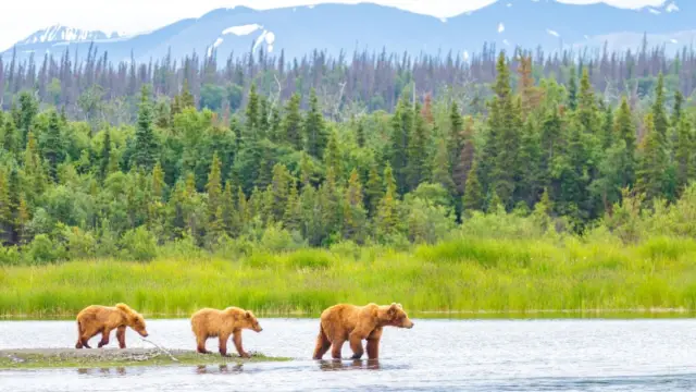 Alaska katmai