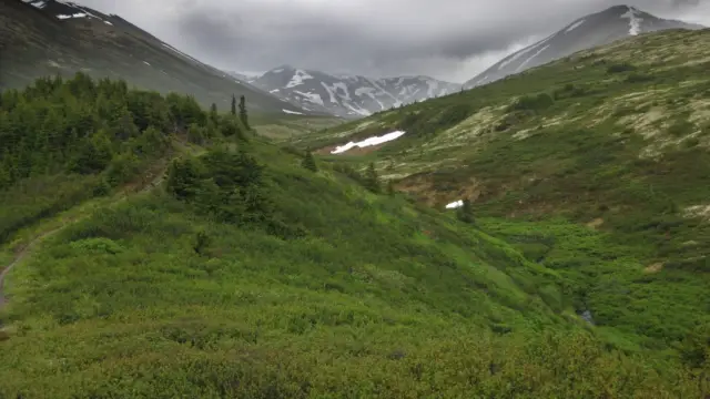 Alaska kenai (4)