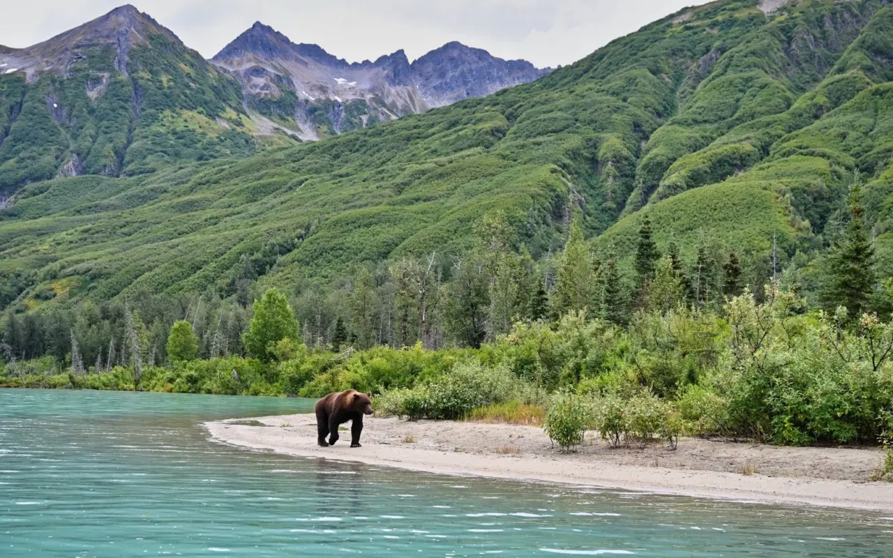 Alaska lake clark