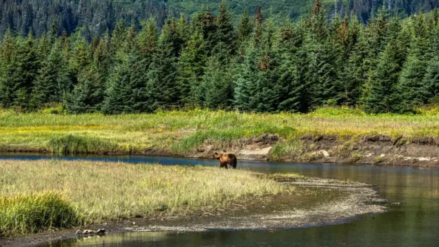 Alaska lake clark (2)