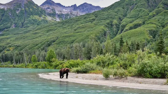 Alaska lake clark