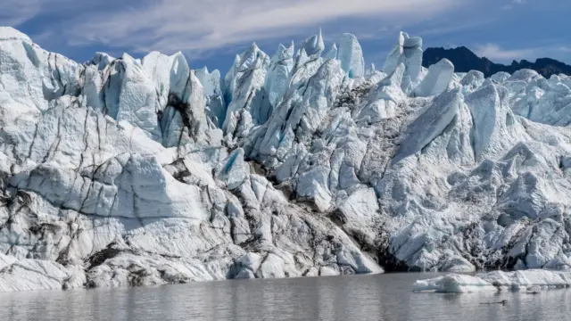 Alaska matanuska (3)