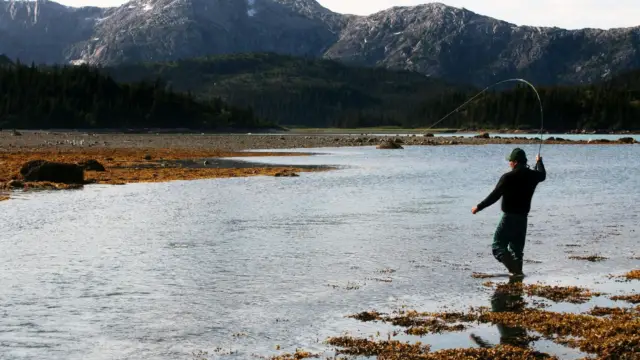 alaska peche (2)