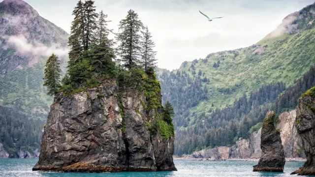 Alaska seward kenai (4)