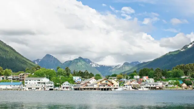 Alaska sitka (2)