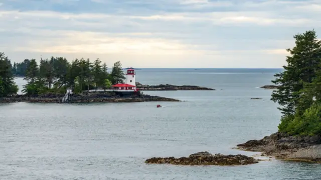 Alaska sitka