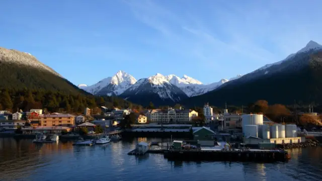 Alaska sitka (8)
