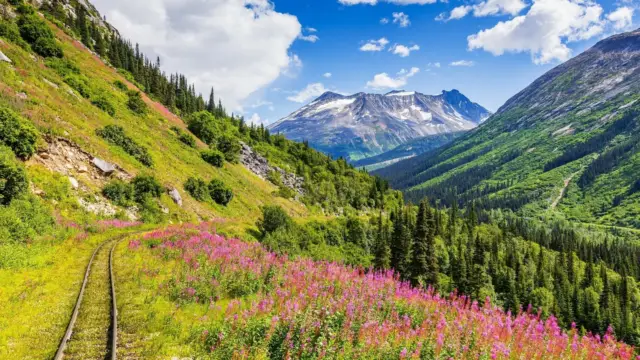 Alaska skagway