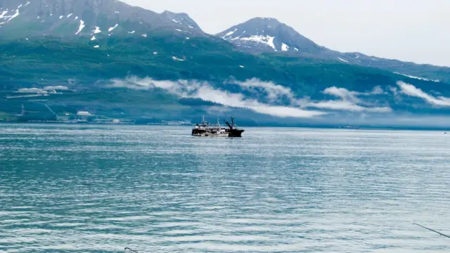 Alaska valdez