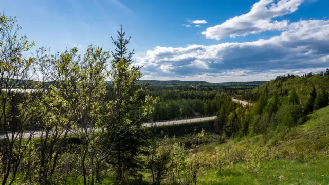 Route transcanadienne au Canada