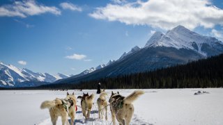 Alaska en famille : 10 expériences nature à vivre avec vos enfants