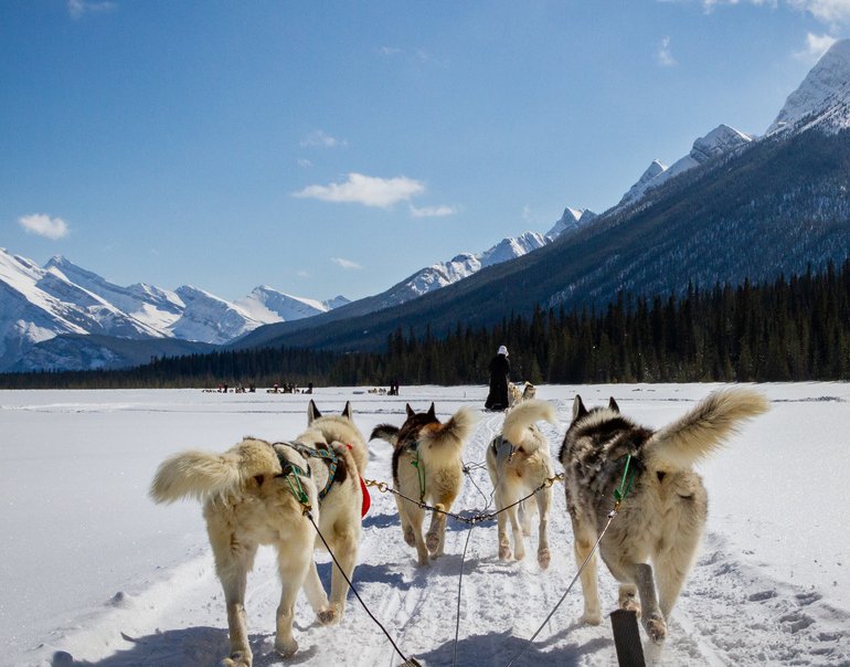 Chains de traîneau au Canada en hiver