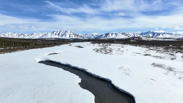 Denali-national-park- Boris Diaw©