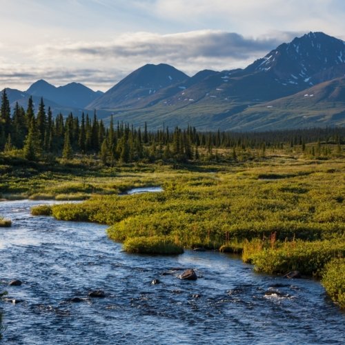 Top 5 des bonnes raisons de partir avec Terra Alaska pour votre voyage sur mesure