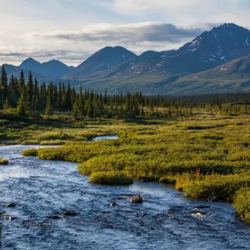 Top 5 des bonnes raisons de partir avec Terra Alaska pour votre voyage sur mesure