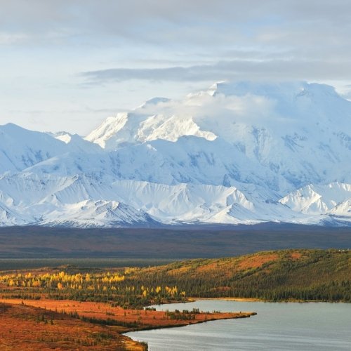 Voyage sur mesure en Alaska : la nature à l’état brut