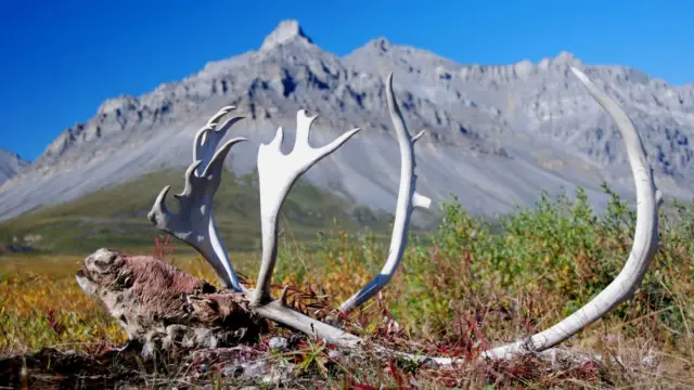 gates of arctic alaska (2)