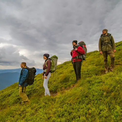 Mission aventure et expédition nature en Alaska