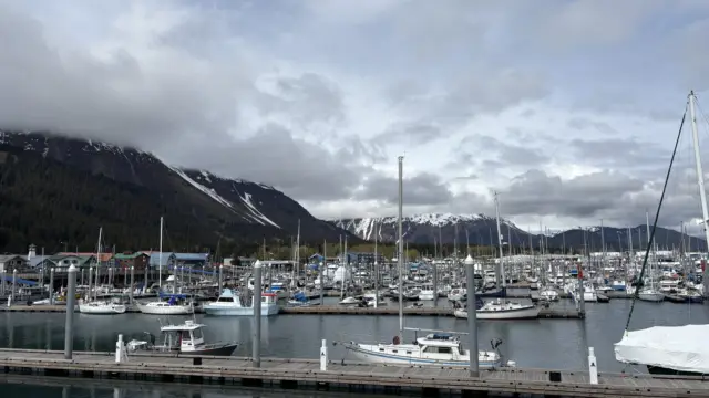 Reco Louise 2025 - Seward