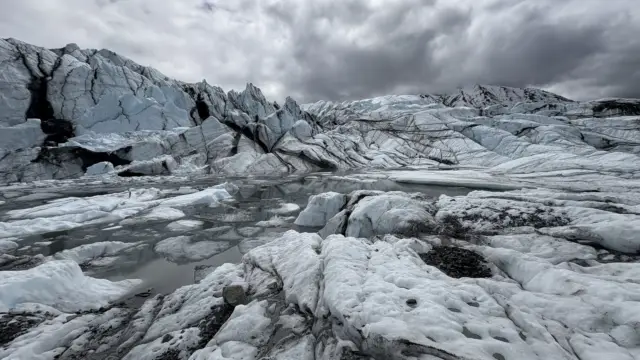 Reco Louise 2025 - Glacier