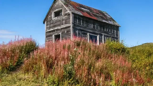 nome alaska (4)