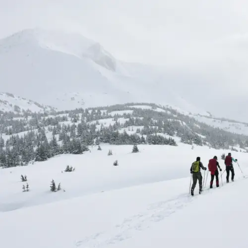 Voyager en Alaska l’hiver