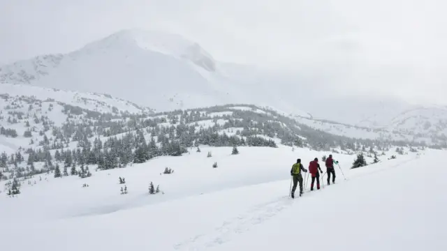 Voyager en Alaska l’hiver