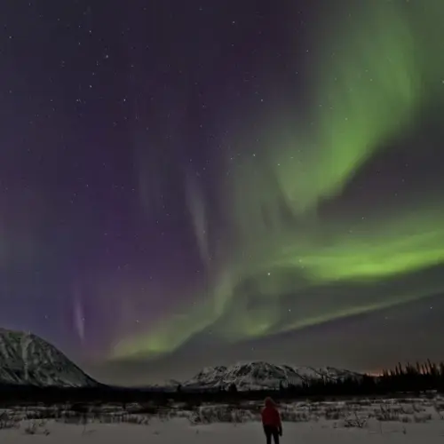 Voyage Yukon-Alaska<br><b> la grande boucle</b>