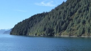 Voyage à la croisée des 3 chemins : Colombie-Britannique, Yukon et Alaska