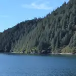 Paysage en Alaska avec de l'eau