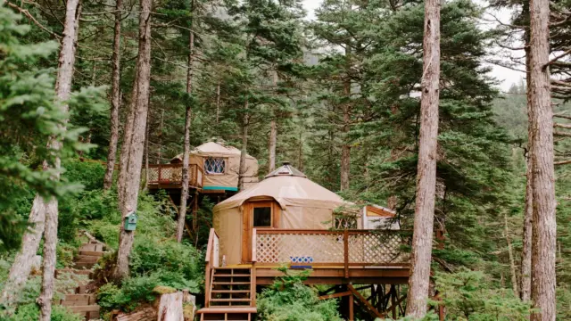 Shearwater Cove©