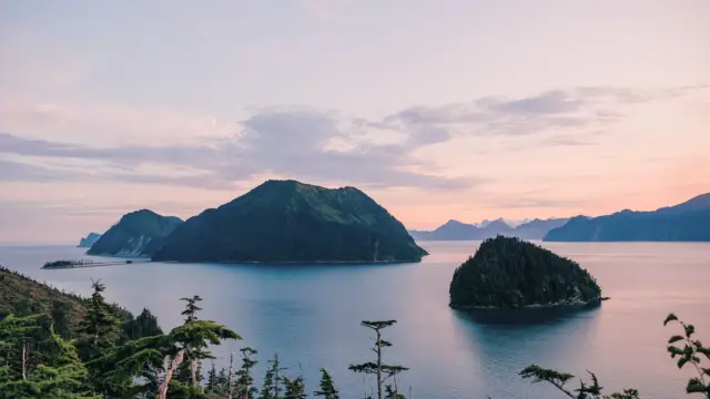 Shearwater Cove©
