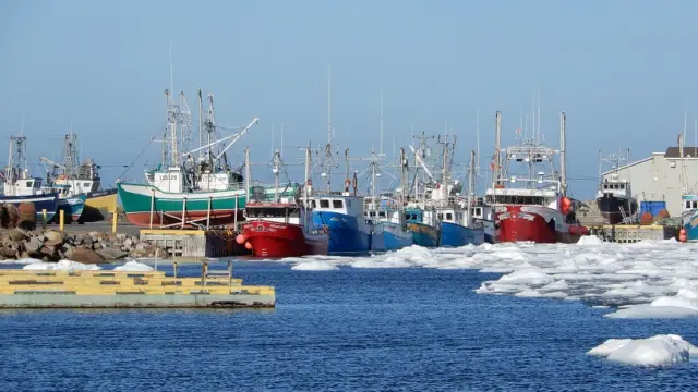 Port de pêche à Terre-Neuve au Canada
